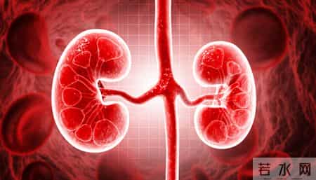 为何尿毒症越来越多？劝告：3物别贪嘴，肾会感激你！