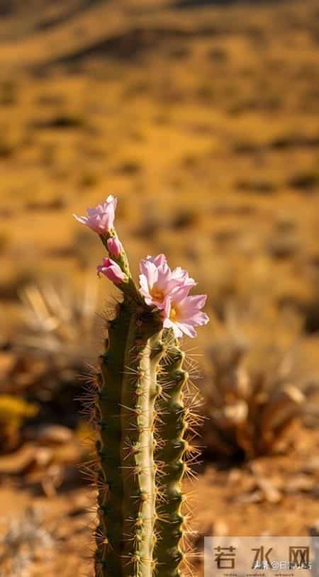 五位同学退休3年病倒2个后，我觉得：没特殊经济困难，还是躺平好