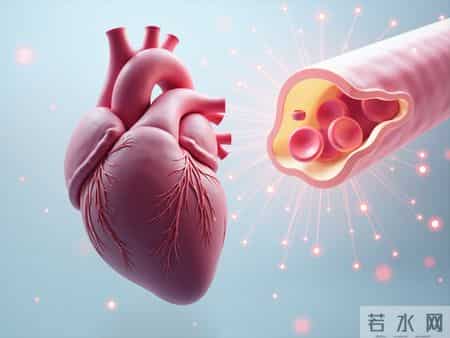 美国脂质学会【最新血脂标准】：所有人的“低密度”都应＜2.6！