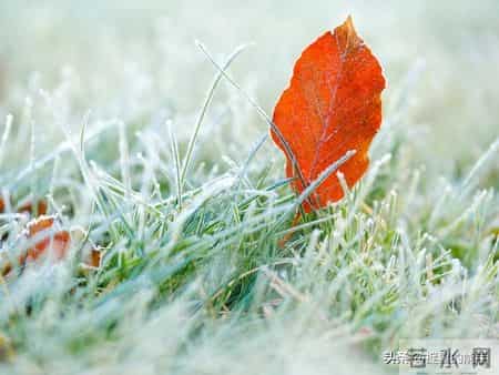 别让爱变成害！0-1岁宝宝养护，这7个误区你中了几个？