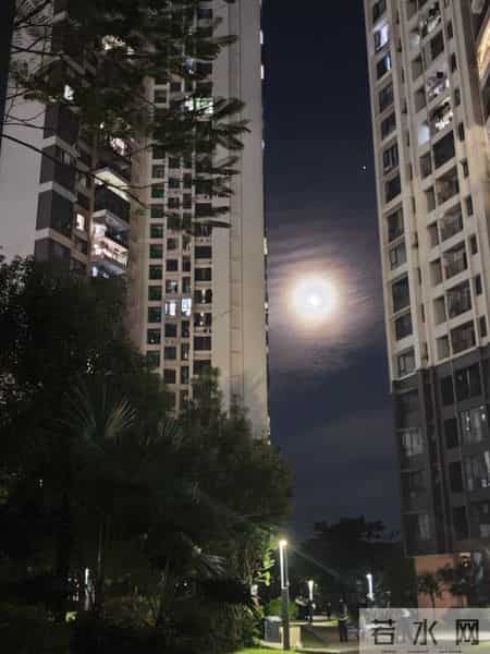 我发觉社工，网格员这些招聘报名的时候就非常复杂