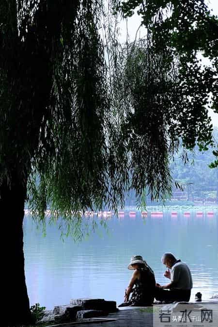 宁愿独居也不跟儿子同住，戳中老人心声：忍气吞声不如独自清净！