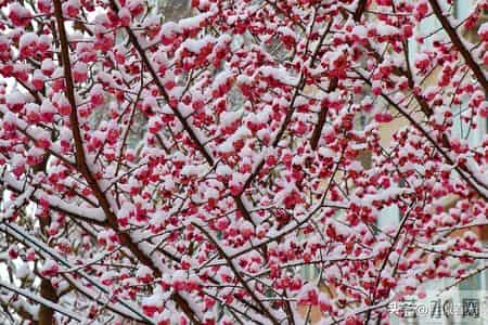 父母没钱，没背景，却有严格的家教，这种孩子的未来怎么样