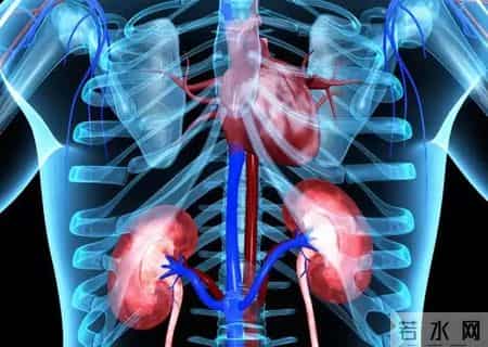 有一种新型复方降压药，不仅作用平稳持久，还能保护心肾！