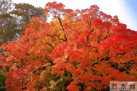 父母老了才开始看你脸色？其实他们不是怕，是太在乎。