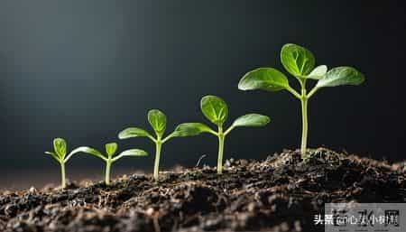 不要与同事高调比较，低调才是智慧，静水深流的人，注定走得更远