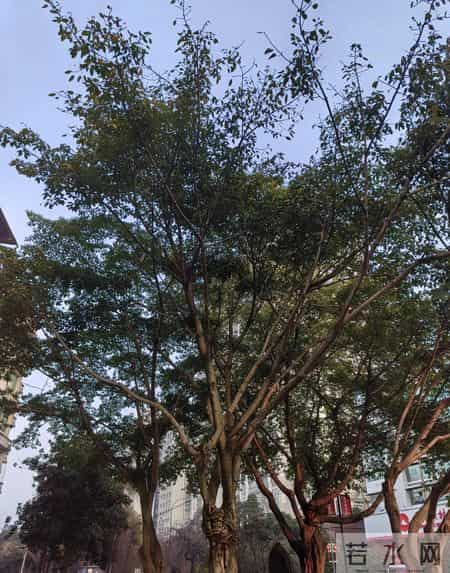 养了半辈子父母，老了却要靠孩子，这算不算报应