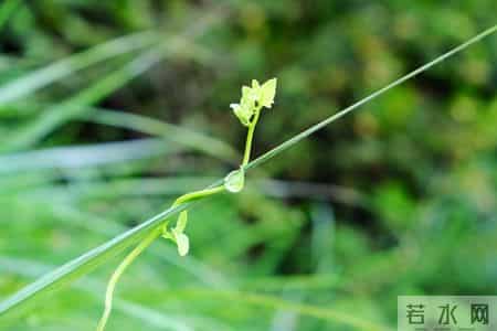 唐诗里藏着9个“升职加薪密码”，古人早就说明白了