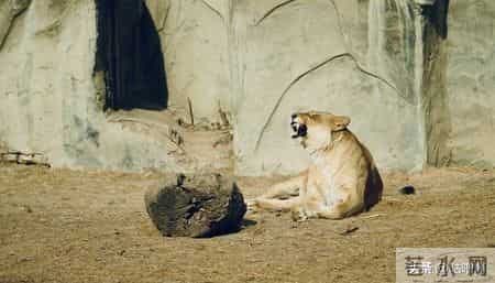 子女最大的悲哀，不是父母退休金低，而是父母60多岁有这八种行为