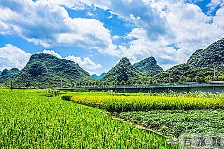 退休了，只要你不入任何的局。你将话得很自在