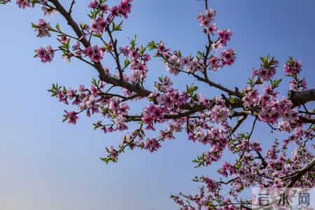 从今往后，你家孩子将越来越顺利