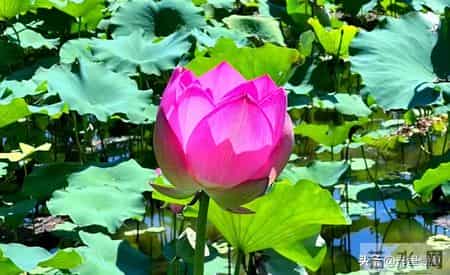 真没想到，你会如此幸运，你的孩子遇到贵人了