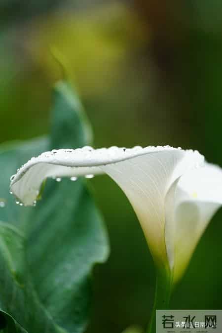 人到晚年，守住这几样才是真福气