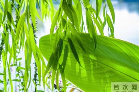 为孩子接住“干啥都顺”：不是迷信，是给成长装“顺劲”的小技巧