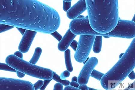 山楂成为关注对象！医生：常吃山楂，不出3个月，身体或有5大改善