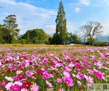 【聪明妈妈从不打骂孩子】