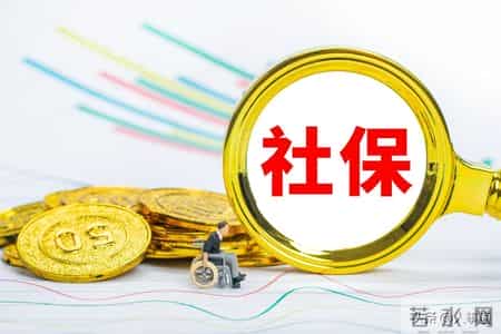 2026福建社保新政解读：厦福两地养老缴费与认证指南，提前了解！