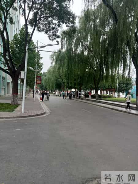 告别死工资：2025年，抓住这五个“不起眼”的赚钱趋势