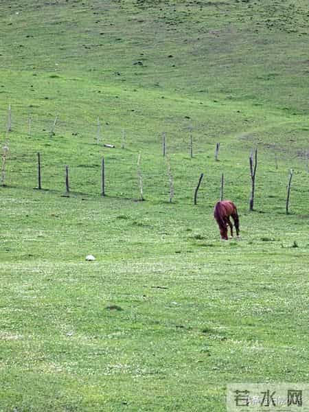 我70岁丧偶，独居五个月后才明白：失去伴侣的晚年生活，真没意思