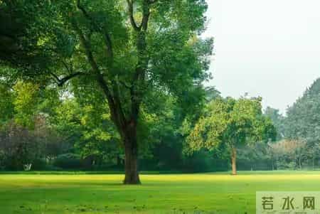 女子产后被男人家暴，特珠原因流出，丈夫距离婚，妇联已介如