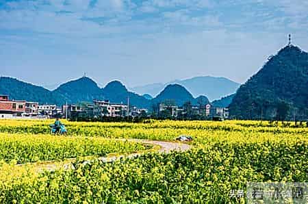 退休了，只要你不入任何的局。你将话得很自在