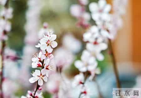 人老了最后一张底牌，大多数人都没想到，保住了就是厉害的老人