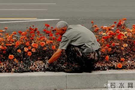 我劝50多岁的姐妹们，退休后能再就业就再业，别闲在家里招人嫌