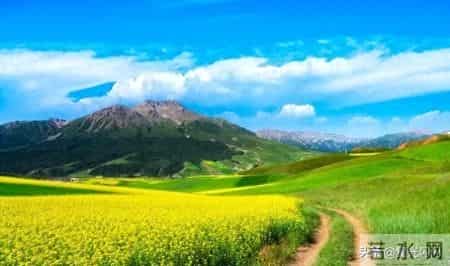 晚年突然有异性靠近？别自作多情！ta盯上的是你这两块"金砖"