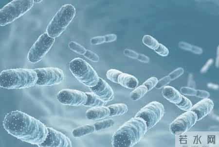 冰箱里的3个东西，是白血病的致病原因之一，要尽早丢掉！