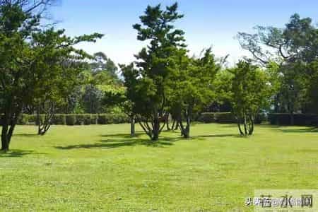 晚年好不好，要看70岁以后，你身上是否保持看这5样东西