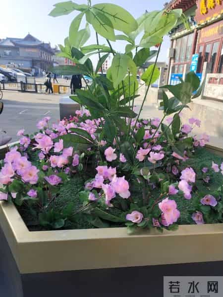 篇篇爆款我只做对了一件事：把“点赞之交”变成“走心之交”