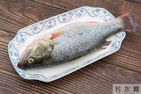 娃吃鱼别踩坑！3种伤脑3种真补脑，家长记好