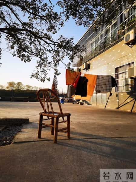 当你老了孤独一人，会跟子女一起住养老吗？听听过来人说的真心话