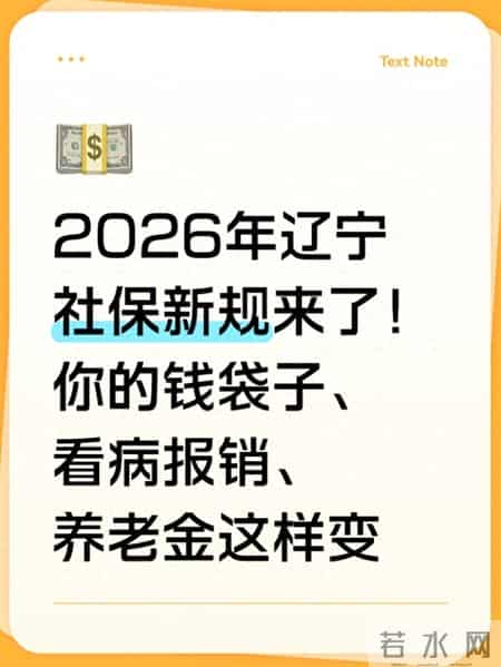 2026年辽宁社保新规来了！你的钱袋子、看病报销、养老金这样变