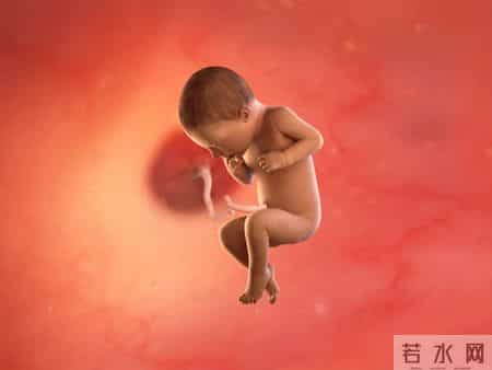 怀孕1-40周，胎儿发育每周变化！孕妈妈的干货科普