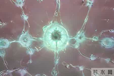 专家分析500名梅毒患者，发现感染梅毒的人，有5大特点