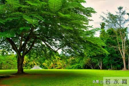 父母给孩子送钱，这八条黄金法则千万记住，别光顾了心疼就乱出手