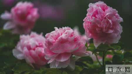 普通人最好的活法是58岁能存下10万存款，58岁后保重身体安度晚年