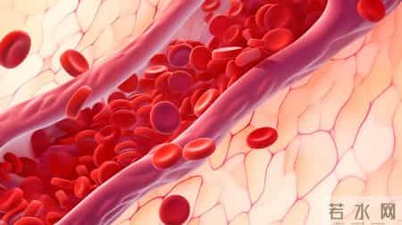 多名院士呼吁：超过62岁的老人，宁可在家做家务，也别出去干这些