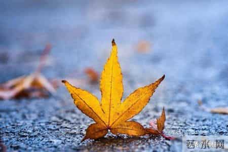 总被某些人耗尽精力，越讨厌越被操控？我做了个意外决定