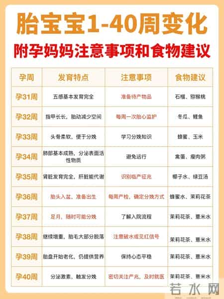 胎儿1-40周发育全攻略！孕妈照做，宝宝健康长大