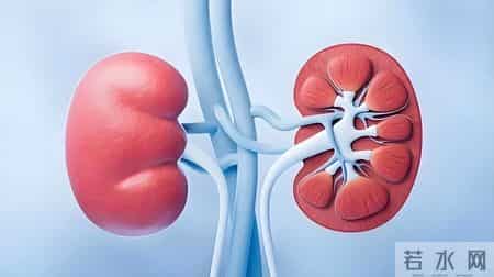 研究发现：天天走路锻炼的尿毒症人，不用4个月，身体迎来3大变化