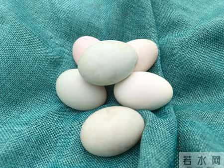 鸡蛋不能天天吃？医生提醒55岁后的老人，吃鸡蛋牢记4个关键