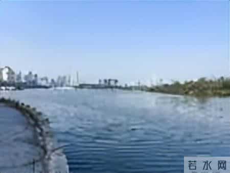 毁掉一个孩子有多简单？只要让他重复父母的悲剧就够了！