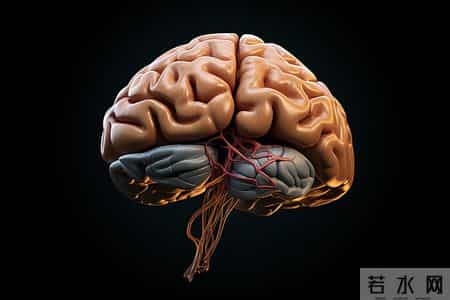 上海交大：每天都喝酒的人，多数到了60岁以后，身体或变成这样？