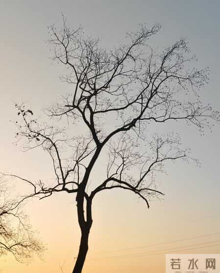 缴费指数才是养老金鸿沟！企退0.6 vs 事业1.5，差距根源藏在这