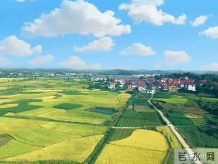 60岁后，手里有钱，心里不慌，这才是晚年最硬气的靠山