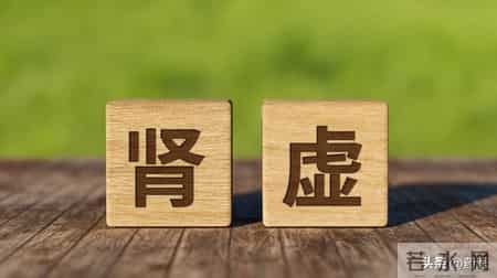 想要让肾恢复根本！这几味中成药必不可少！