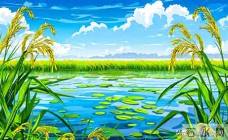 孩子一生唯一的黄金九年，很多父母都后悔太晚看到