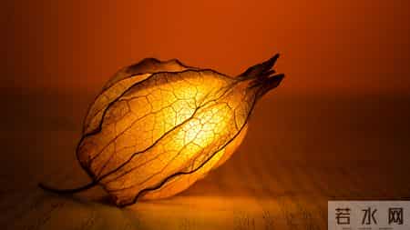 1月8日，星期四，戌狗，即将有事发生